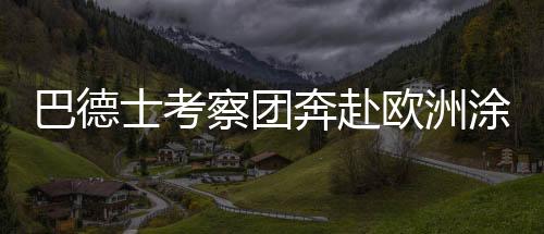 欧洲研发超前的涂料头拜产品