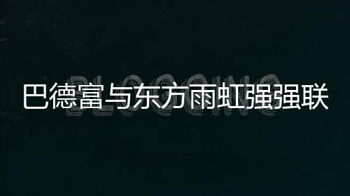 联合研发项目的巴德签订