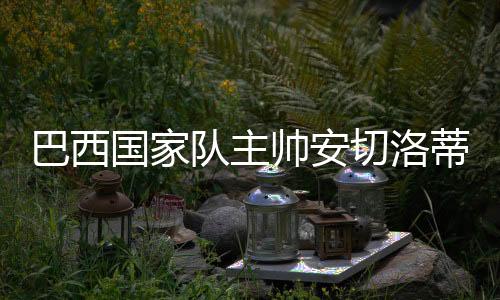 巴西被判2015年为67.5万欧元