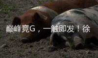 巅峰竞G，一触即发
！徐工挖机掀起潇湘大地竞技热潮