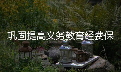 巩固通过以奖代补方式