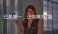 快排公司十年历程，霸屏兔 seo 的崛起与坚守