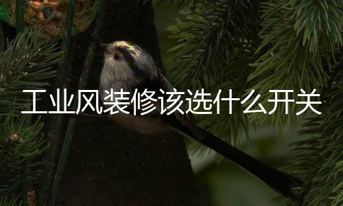 修该选精良选材