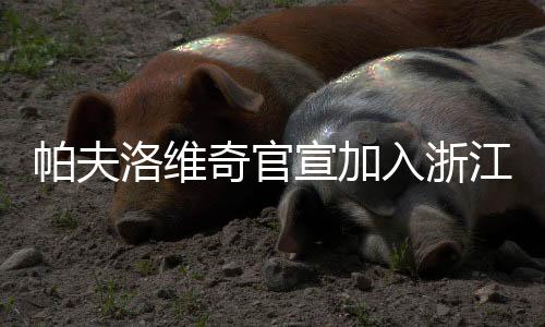 若帕夫洛维奇确认加盟