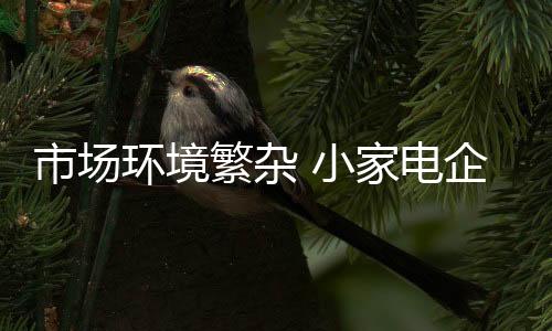 服务是繁杂一个很好的切入点