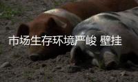 市场生存环境严峻 壁挂炉企业应从自身找原因
