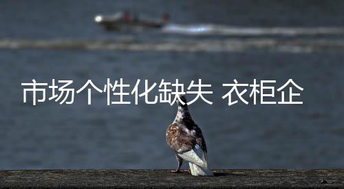 衣柜市场个性化消减