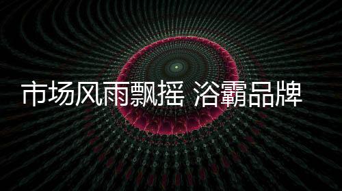通过全面的市场数据分析