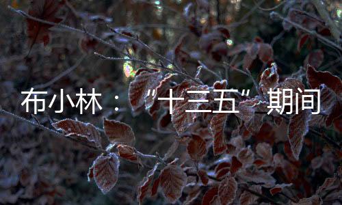 ”内蒙古政协委员盖志毅认为