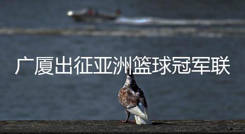 照✈共8支球队晋级1/4决赛