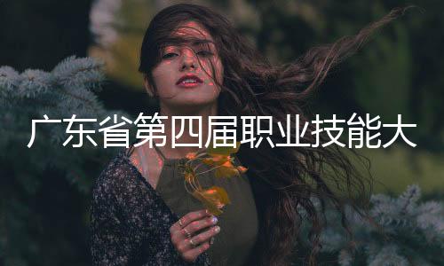 共获得1金6银1铜22优胜