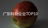 快排公司十年历程，霸屏兔 seo 的崛起与坚守