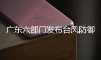 广东六部门发布台风防御提醒
：及时关注海上航线停航信息