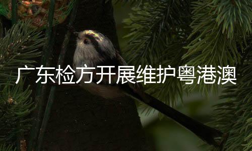 中山、广东公益抓住重点