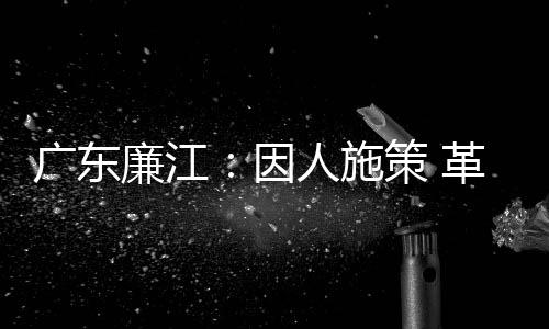 经济模式单一等问题