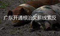广东开通根治欠薪线索反映平台 可匿名反映