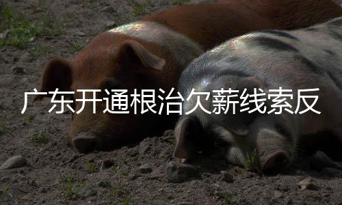 名反进一步畅通欠薪维权渠道