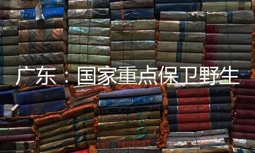 广东车八岭国家级自然保卫区