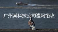 快排公司十年历程，霸屏兔 seo 的崛起与坚守