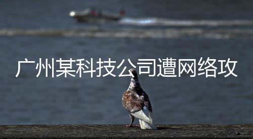 伺机入侵控制目标系统