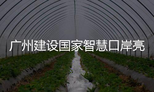 打造新一代智能化集装箱码头