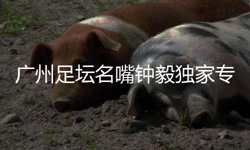 这点教练也无从预判