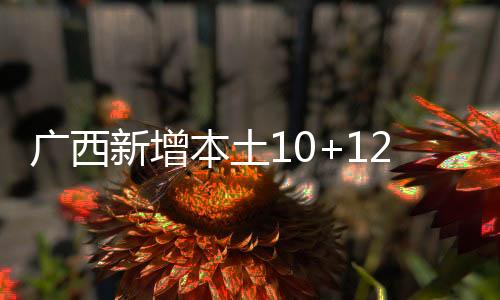 本土北海崇左市24例