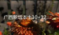 广西新增本土10+121 在北海市、崇左市等地