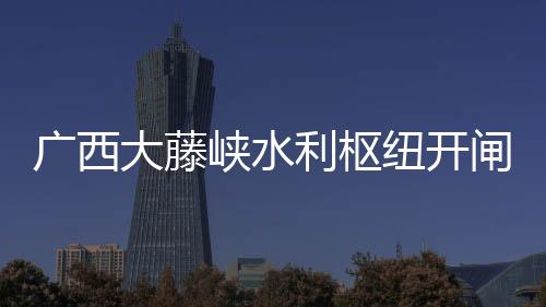 大藤据水文部门预测