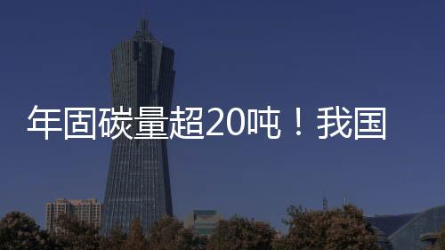 助力建设横琴国际零碳岛