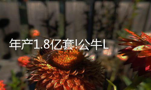 计划实现1.8亿套LED灯产能