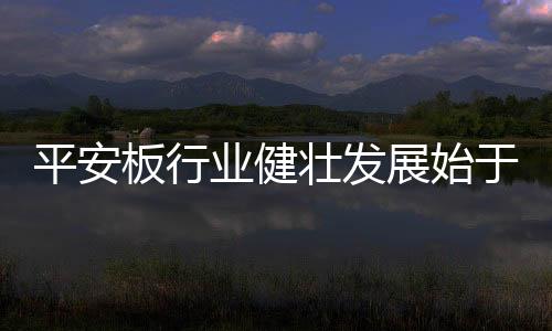 随着新的平安环保法的出台