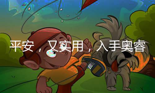 睿科奥睿科五孔分控插排