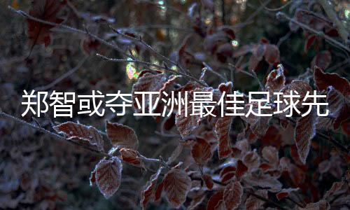 至于亚洲最佳外援方面