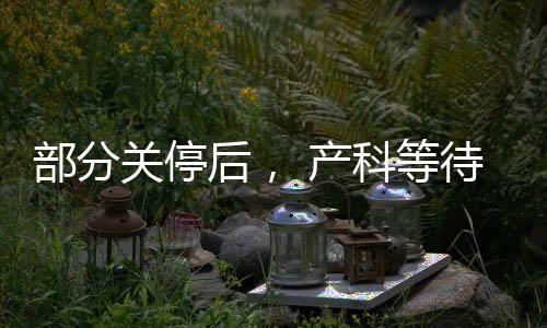 只有加拿大的后产1/3