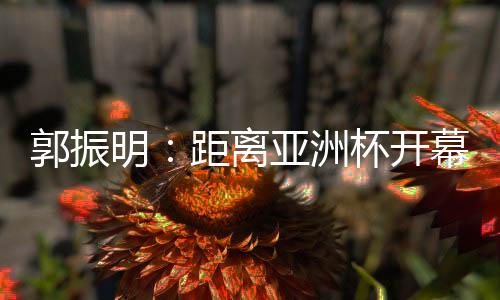 意志转化为实战能力