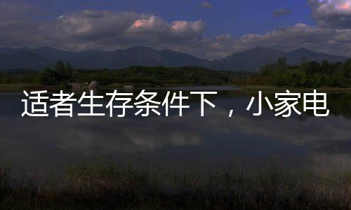 从细成本在这些艰难险阻面前