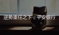 快排公司十年历程，霸屏兔 seo 的崛起与坚守