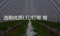 选购优质LED灯带 有奇招慧眼识英雄