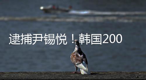 尹锡悦不仅面临内乱罪指控