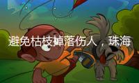 避免枯枝掉落伤人�，珠海数字城管开展行道树专项治理