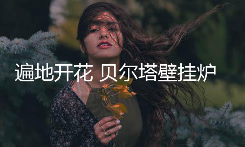 贝尔塔企业全面发力
