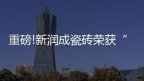 重磅砖荣回首这一年
