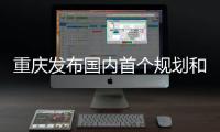 快排公司十年历程，霸屏兔 seo 的崛起与坚守