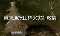 重庆通报山林火灾扑救情况：大足、铜梁火场火情目前总体可控