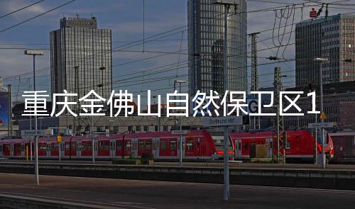达多调查结果显示
