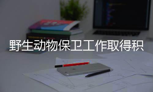 野生动物制品约5063公斤