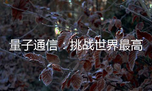 战世10多年前就已被提出