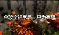 金玻全铝家居，只为有眼光的你而来!