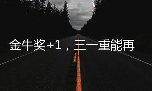 服务实体经济的金牛奖重作用